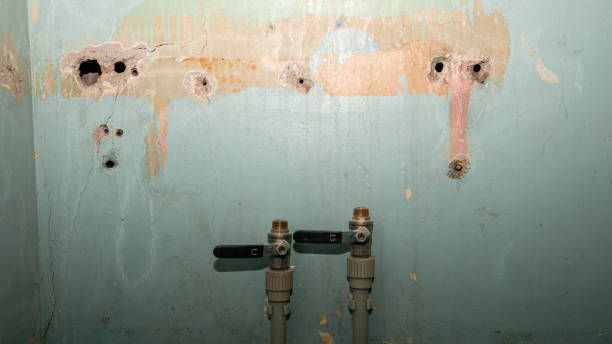 Best Flood restoration services  in Hemet, CA
