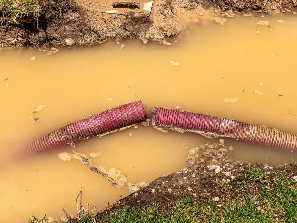 Best Water damage contractors near me  in Hemet, CA