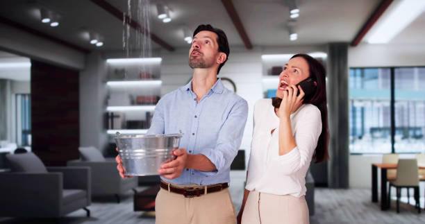 Best Professional water damage repair  in Hemet, CA